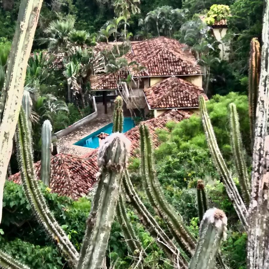 Homestay Anfiteatro Tropical