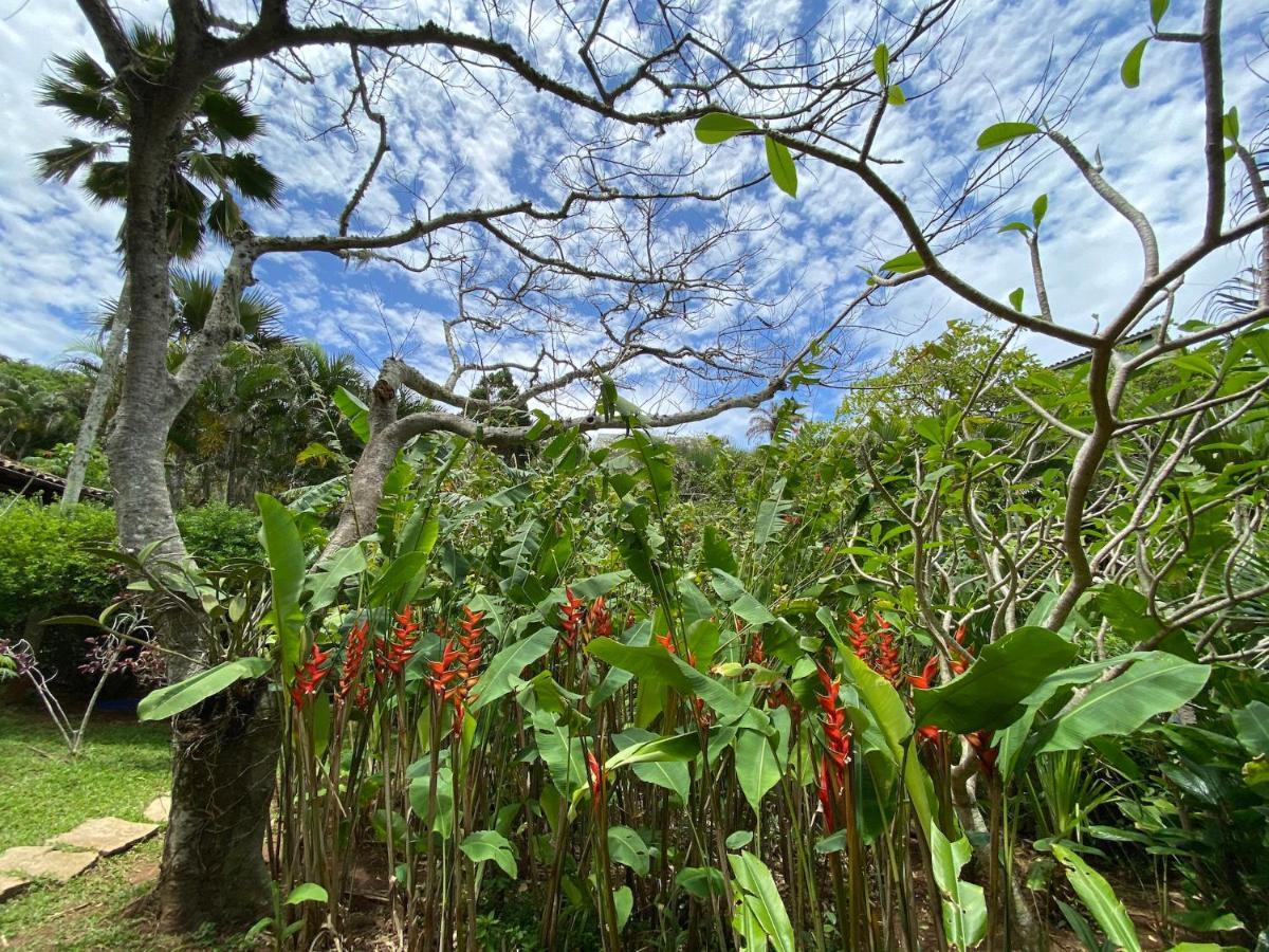 Anfiteatro Tropical Homestay