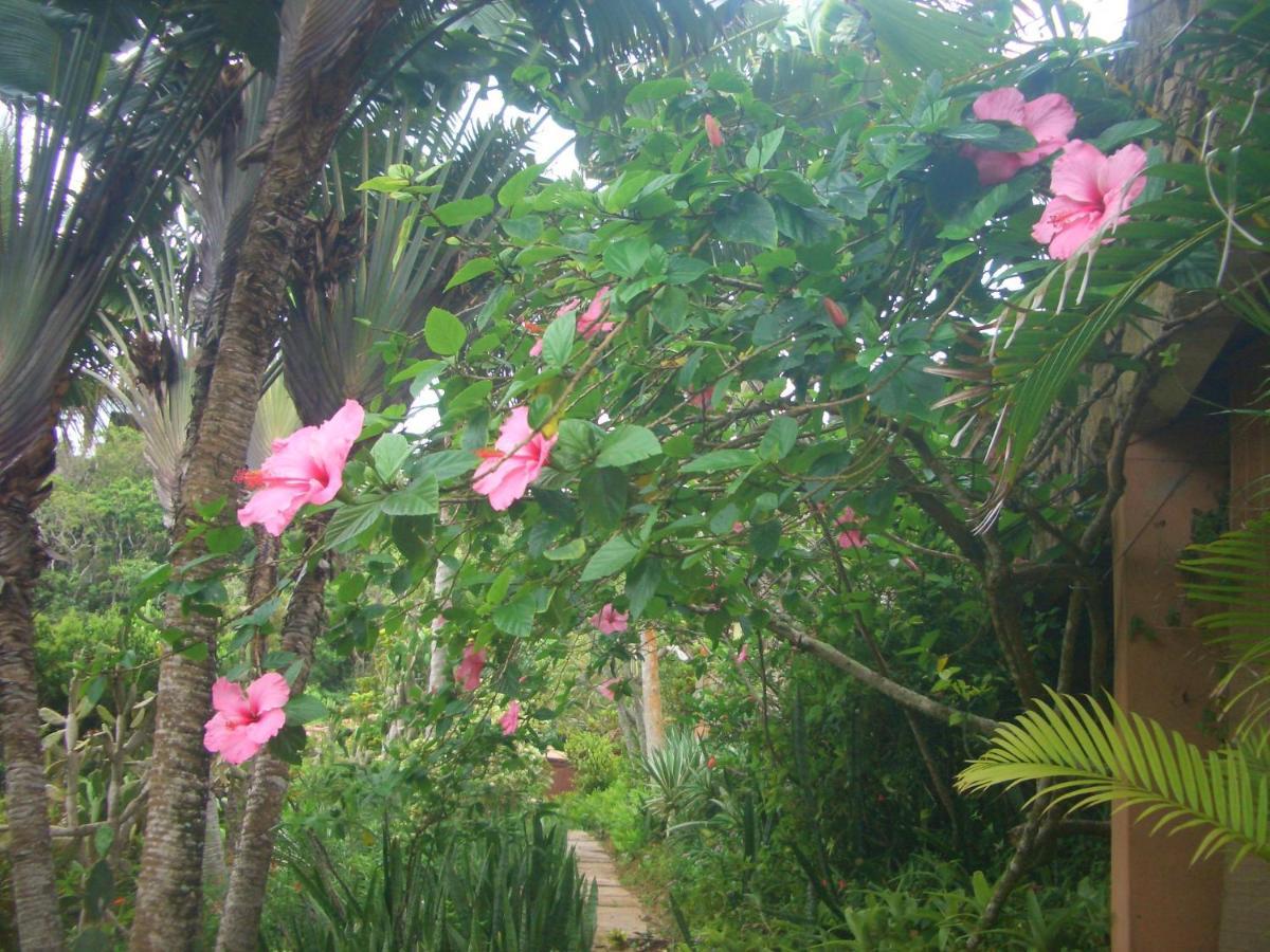 Anfiteatro Tropical Búzios